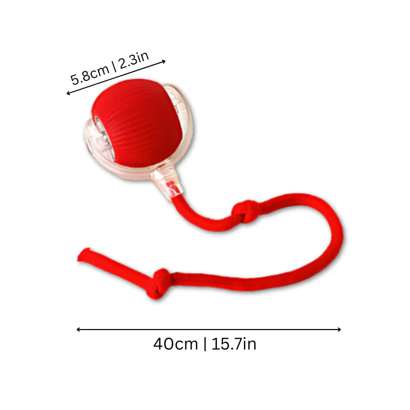 Furco™ SmartRoll Interactive cat ball
