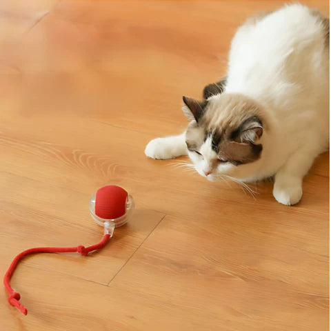 Furco™ SmartRoll Interactive cat ball